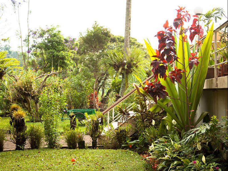 Bird Of Paradise Hotel Goroka Exterior photo